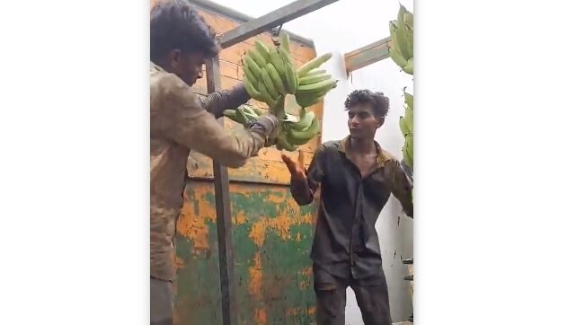 ��ݤ������ɤ���ä��ݤ����Хʥʤ򥫥ޤǰ�˼���Ĥ��ڤ�ʬ������