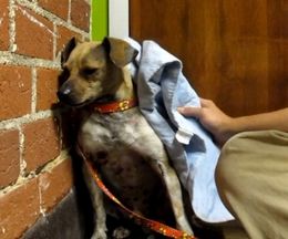 ���Ԥ���ƹӤ���������դ��ͤȤο���ط���Ƥ��ۤ��ޤ�