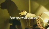 SmartDog
