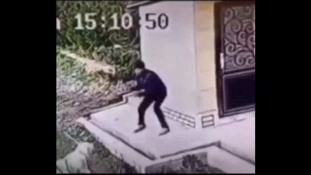 ���˽���줿�����Ʈ�ȡ��ե���ȥ��硼���Ǹ���̵�ϲ�