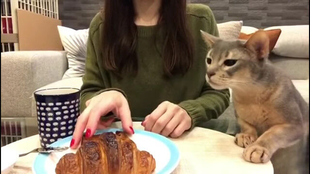 ���Ф���Υ�����å��󤬿��٤����ơ���ٹ�������ĤŤ���ǭ