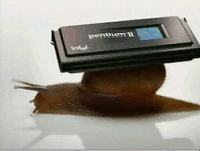 AppleComputer
