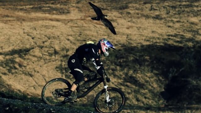 ƨ���뼫ž�֤��ɤ��ϥ�֥�������˥�����Ĥ����������������ȥ�ȥϥ�֥����ɤ������ä�