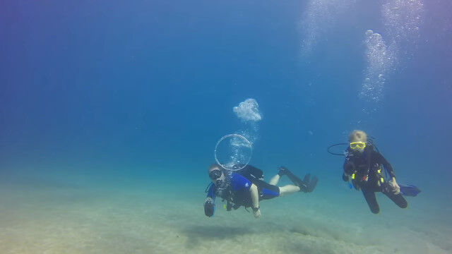 ˢ�Υ�󥰤��ڤ˷�Ƥ�����񡢥Х֥��󥰡�����