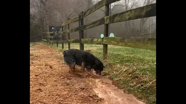 ͭ��;�륨�ͥ륮�������ޤ��������ή�����ڤ򷡤�ޤ��ꡢ����븤