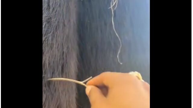 ڱաڤδդդӤΤ褦ʤΡäƤߤȶ̤