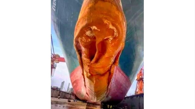 ���������ϤǺ¾̤�������ƥ��������������������λ��θ�ΥХ�Х����Х���»����礬���Τη㤷����ʪ���