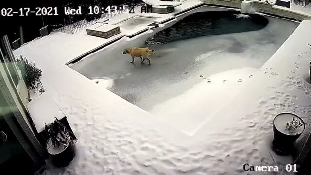 紨ȤäƥƥĤס㤬빽¿