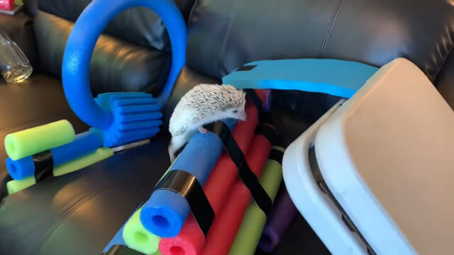 �ϥ�ͥ��ߤ�ĩ����м��ͤΥҥޤĤ֤��˺�ä���SASUKE���β��⥢������å�