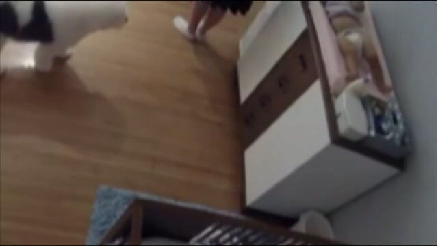 ����ϥե�����ץ졼������ĸ��椫��������֤����˶��ꡢ���ꥮ��Ǽ����ߤ᤿9�ФΤ��������