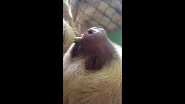 ������������ݤ������Ȥϡġġ����٤Ƥ������̲�äƤ��ޤ��ʥޥ����