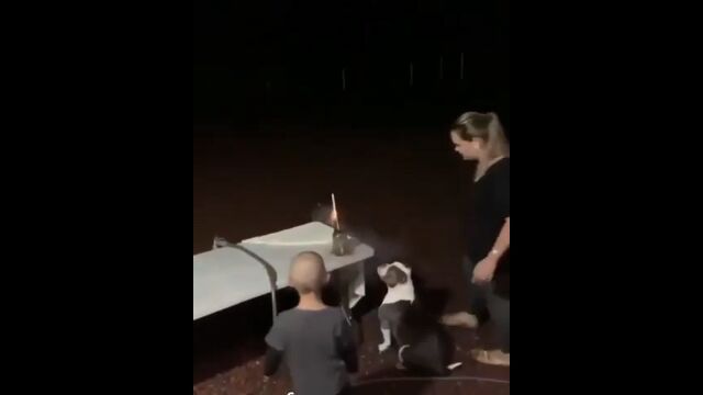 �ֲФ˴����������������