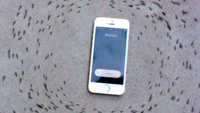 �ʤˤ����Ի׵ġ�iPhone����Ϥ�����꤬���忮�ȶ��˵�§Ū�˲��Ф�����