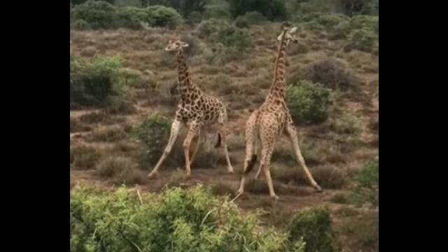 �����ˤ��ꤲ�������ä��Τ���������Τ褦�˿��뤦�����Ʊ�ΤΥ��󥫤ˤơ�������ꤲ������ޤä��ִ�