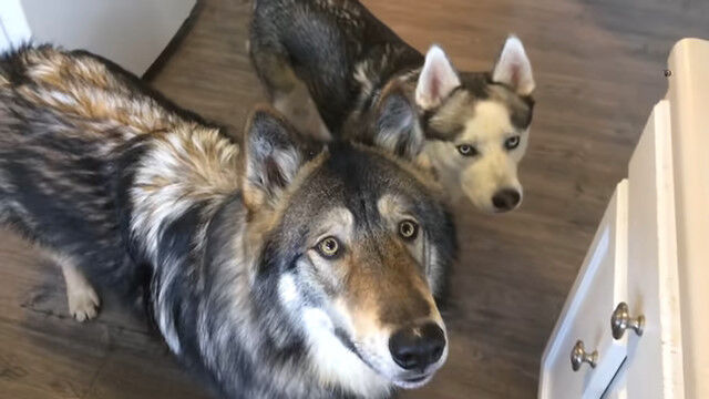 ָοפȡϵοסꤲͿƤ줾ΰ㤤٤