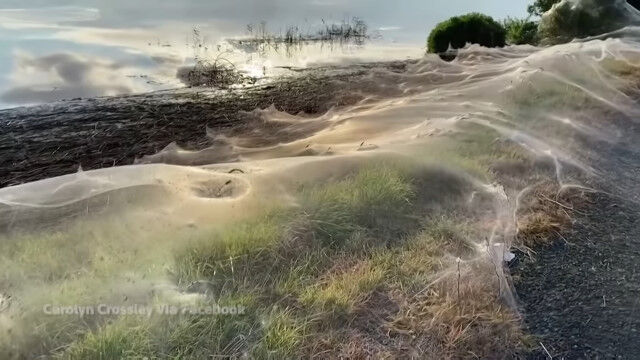 ���������١���Τ褦��������㤬���ˤ��ʤӤ����������ȥ�ꥢ����������ȯ�����ͻ�