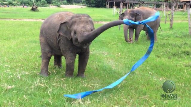 �Τ˴����դ�������󤷡�����������Υۡ�����ͷ�֥�������