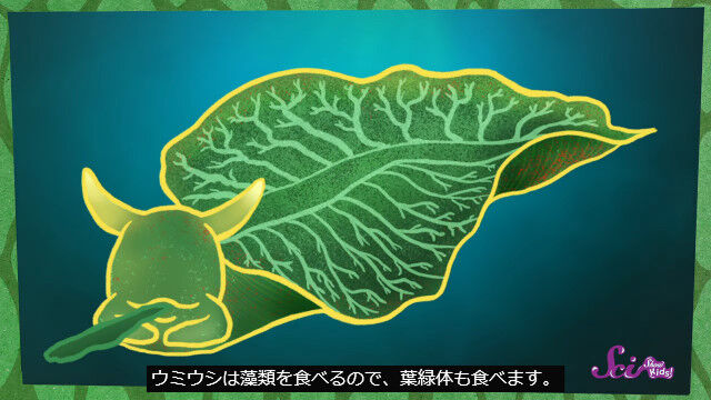 դäѤΤ褦ʸܤǽϤĥߥꥷƥ