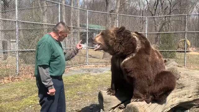 羨ましいけど怖い。大きなクマと戯れる、クマみたいなおじさん