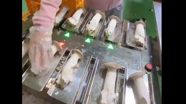 ��������򤤡����Υ����ܤ��褻��ȡ����٤����Ť����Ȥ߹�碌������Ǥ������̴�