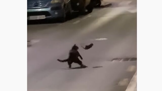 ���ӽ���ǥͥ����臘Ǧ�ԥͥ��ߡ����ڥ��󡢥ޥ饬�γ�����ܷ⤵�줿��̯�ʹ���