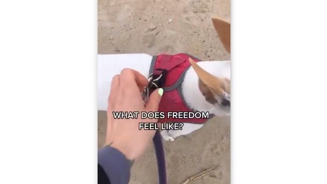 ͳˤִ֤顢ͳΤäפ꤬ޤ