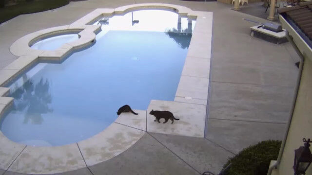 ����ϤҤɤ�������ǭ��ס�����ͤ���Ȥ����ʤ��ʤ���ƻ��ǭ