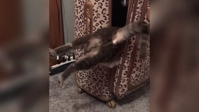 �����ĥ����������ꤿ��ǭ�Τ������İ����ä��ִ�
