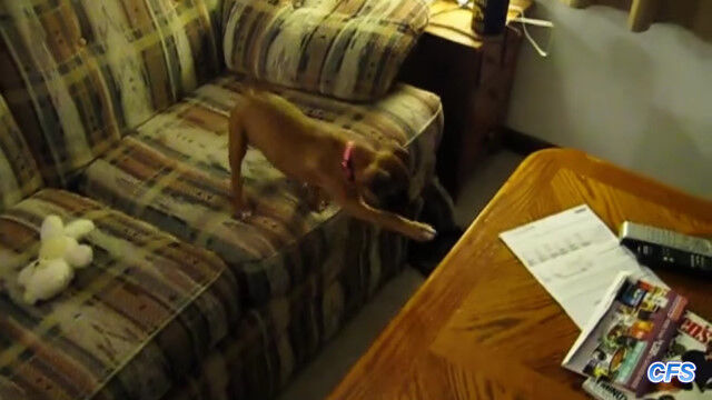 �Դ��ѤʤȤ������ष���İ����������μ��Ա�����