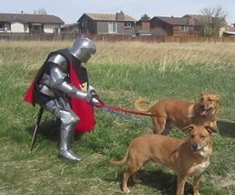 ������Բ�������뵳�Τ����Urban Knight