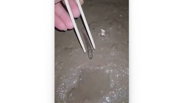 ְִưȤפʤŪᤵβư