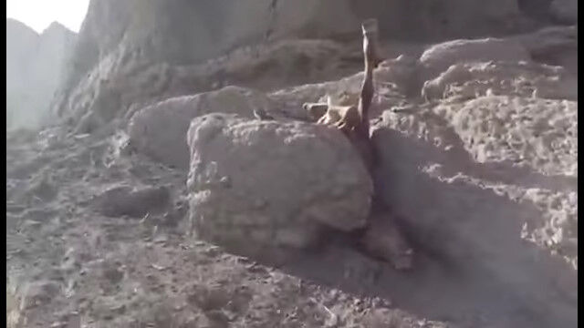 �դ��ޤǴ�֤˥��åݥꡣ�Ȥ�Ǥ�ʤ������ǵͤ���Ϥ�ȯ�����߽������