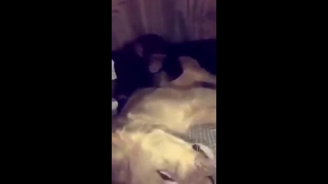 �饤�����Ƭ��֤�á�����̿�Τ餺�ˤ�ۤɤ�����