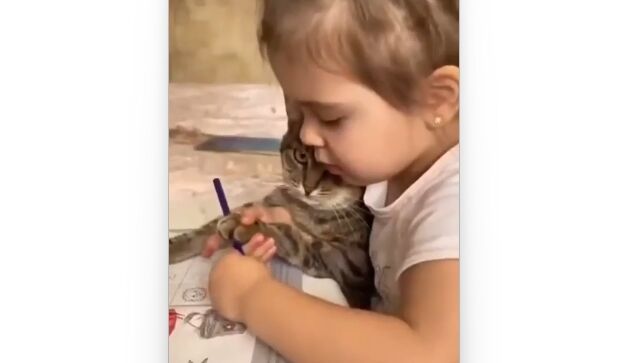 �Ļ��Τ����������դ���äƤ�����ǭ��ͥ��������ɡ��ܤĤ����Ԥ�����