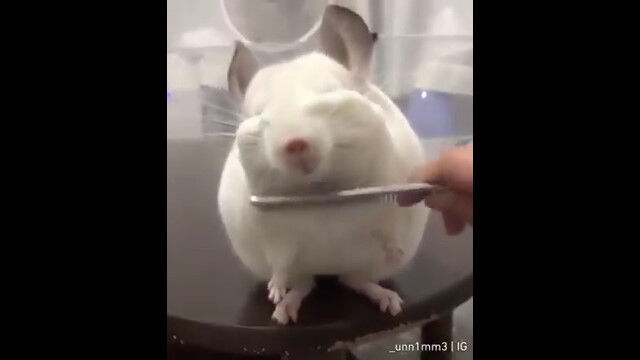 ���դʥ�����餵�󡢶����ӤŤ���������������ɽ��