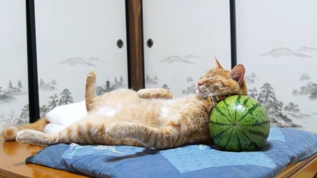 �����Ĥ�ή�Ф�̵�������롣�������򶯰������ˤ���̲��ǭ