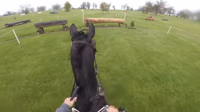 ���ϰ��ΤȤʤä��㳲ʪ�����ˤơ��Ͼ�ε���λ����Ǹ�������