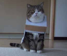 Ȣ������������Ρ�Ȣ�򰦤���ǭ���ޤ��Ȣ�������