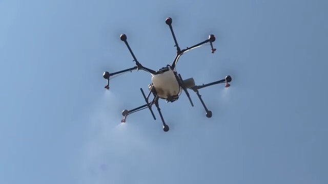 10��åȥ�ξ��Ǻޤ��Ѥ���ɥ����󤬳�������Ӳ�롢�ۥ󥸥�饹���¹�ο��������ʥ����륹�к�