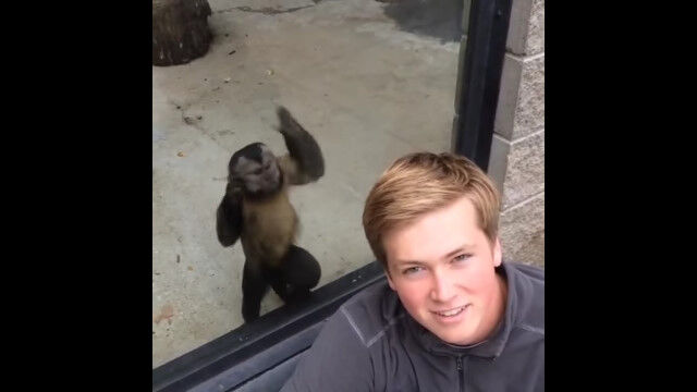 �֥��å��򸫥��á��״�򤽤ऱ���ɬ��ǥ��饹��á���Ƶ��������