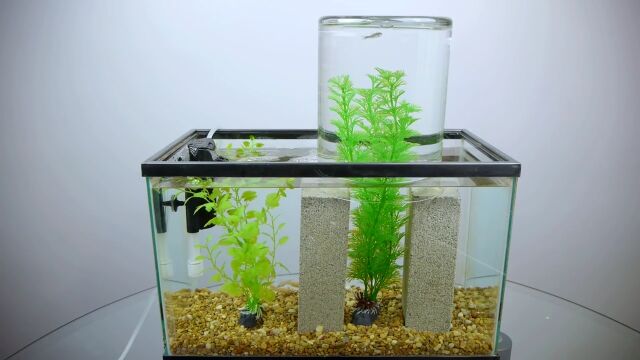 お手軽だけどアッと驚かせる、ちょっとセンスある飛び出し水槽の作り方
