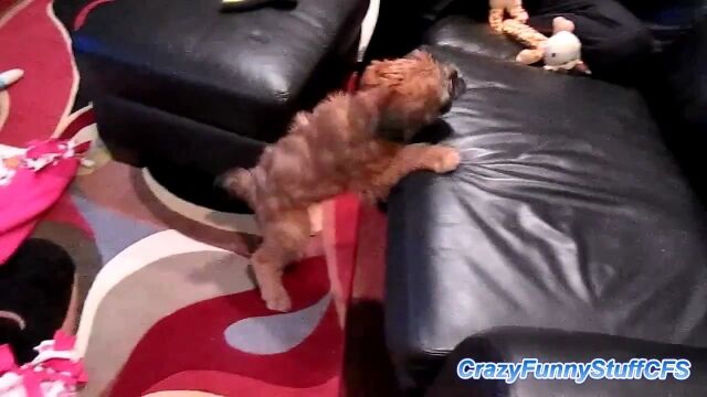 ե˾ꤿΤ˾ʤĥ븤İ