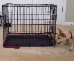 �꡼�ɤ��ɤ��������������븤�Υ롼��������