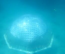 忼6᡼ȥο˺äɡζ֤ڤ