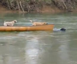 ���ԤäƤ����Ԥ������ץ��̡��ξ�˼��Ĥ��줿��֤�����븤