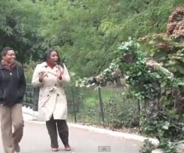 Фߤ˵֡͡ӥåꤵ륤