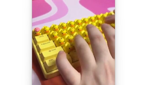 すごくウルサイけれど可愛くてちょっと欲しい、アヒルのキーボード