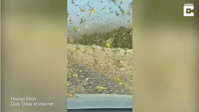 �볦��ʤ���Ԥ����Хå��η��졣����������ȯ�������Хå����������֤��黣�Ƥ�������