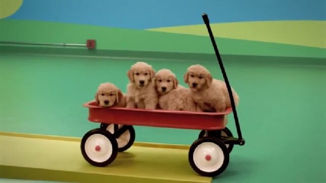 可愛い犬たちが連鎖を助ける!ドッグ・ゴールドバーグ・マシン