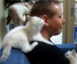 ޤӥ٥β硣˥٥٥ޤǭ